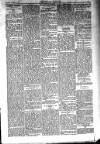 Kildare Observer and Eastern Counties Advertiser Saturday 29 January 1910 Page 3