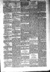 Kildare Observer and Eastern Counties Advertiser Saturday 29 January 1910 Page 7