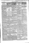 Kildare Observer and Eastern Counties Advertiser Saturday 05 February 1910 Page 3