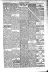 Kildare Observer and Eastern Counties Advertiser Saturday 12 February 1910 Page 5