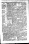 Kildare Observer and Eastern Counties Advertiser Saturday 19 February 1910 Page 3
