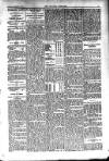Kildare Observer and Eastern Counties Advertiser Saturday 26 February 1910 Page 7