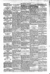 Kildare Observer and Eastern Counties Advertiser Saturday 05 March 1910 Page 7