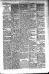 Kildare Observer and Eastern Counties Advertiser Saturday 19 March 1910 Page 3