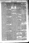Kildare Observer and Eastern Counties Advertiser Saturday 19 March 1910 Page 5