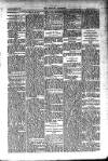 Kildare Observer and Eastern Counties Advertiser Saturday 19 March 1910 Page 7