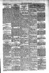 Kildare Observer and Eastern Counties Advertiser Saturday 02 April 1910 Page 7