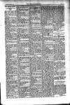 Kildare Observer and Eastern Counties Advertiser Saturday 09 April 1910 Page 3