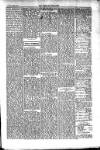 Kildare Observer and Eastern Counties Advertiser Saturday 09 April 1910 Page 5