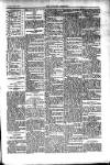 Kildare Observer and Eastern Counties Advertiser Saturday 09 April 1910 Page 7