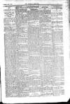 Kildare Observer and Eastern Counties Advertiser Saturday 16 April 1910 Page 3