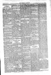 Kildare Observer and Eastern Counties Advertiser Saturday 14 May 1910 Page 3