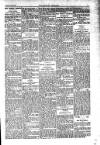 Kildare Observer and Eastern Counties Advertiser Saturday 25 June 1910 Page 7