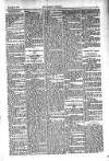 Kildare Observer and Eastern Counties Advertiser Saturday 19 November 1910 Page 7