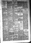 Kildare Observer and Eastern Counties Advertiser Saturday 10 December 1910 Page 3