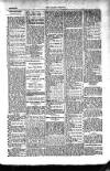 Kildare Observer and Eastern Counties Advertiser Saturday 20 April 1912 Page 7