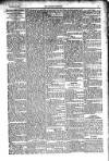 Kildare Observer and Eastern Counties Advertiser Saturday 27 November 1915 Page 3