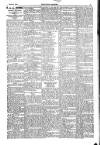 Kildare Observer and Eastern Counties Advertiser Saturday 08 January 1916 Page 3