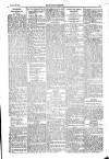 Kildare Observer and Eastern Counties Advertiser Saturday 22 January 1916 Page 3