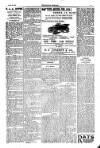 Kildare Observer and Eastern Counties Advertiser Saturday 15 April 1916 Page 3