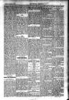 Kildare Observer and Eastern Counties Advertiser Saturday 04 November 1916 Page 5