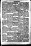 Kildare Observer and Eastern Counties Advertiser Saturday 13 January 1917 Page 5