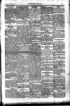 Kildare Observer and Eastern Counties Advertiser Saturday 13 January 1917 Page 7