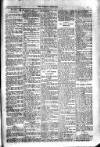 Kildare Observer and Eastern Counties Advertiser Saturday 01 November 1919 Page 7