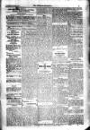 Kildare Observer and Eastern Counties Advertiser Saturday 08 November 1919 Page 5