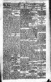 Kildare Observer and Eastern Counties Advertiser Saturday 28 February 1920 Page 3
