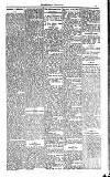 Kildare Observer and Eastern Counties Advertiser Saturday 03 February 1923 Page 3
