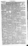 Kildare Observer and Eastern Counties Advertiser Saturday 26 January 1924 Page 3