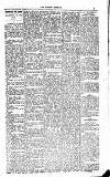 Kildare Observer and Eastern Counties Advertiser Saturday 15 March 1924 Page 7