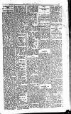 Kildare Observer and Eastern Counties Advertiser Saturday 22 March 1924 Page 3