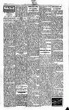 Kildare Observer and Eastern Counties Advertiser Saturday 07 January 1928 Page 7