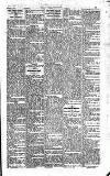 Kildare Observer and Eastern Counties Advertiser Saturday 26 January 1929 Page 3