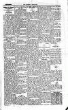 Kildare Observer and Eastern Counties Advertiser Saturday 26 January 1929 Page 9