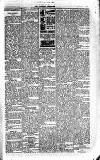 Kildare Observer and Eastern Counties Advertiser Saturday 02 February 1929 Page 3