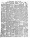 Leinster Independent Saturday 17 June 1871 Page 5