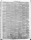 Wicklow News-Letter and County Advertiser Saturday 10 November 1860 Page 3