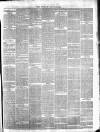 Wicklow News-Letter and County Advertiser Saturday 16 January 1869 Page 3