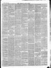 Wicklow News-Letter and County Advertiser Saturday 12 June 1869 Page 3