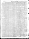 Wicklow News-Letter and County Advertiser Saturday 26 March 1870 Page 3
