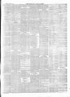 Wicklow News-Letter and County Advertiser Saturday 26 March 1870 Page 3