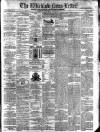 Wicklow News-Letter and County Advertiser Saturday 21 July 1877 Page 1