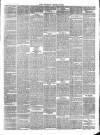 Wicklow News-Letter and County Advertiser Saturday 04 August 1877 Page 3
