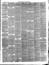 Wicklow News-Letter and County Advertiser Saturday 17 November 1877 Page 3