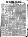 Wicklow News-Letter and County Advertiser Saturday 01 December 1877 Page 1