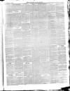 Wicklow News-Letter and County Advertiser Saturday 12 January 1878 Page 3