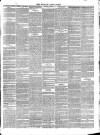 Wicklow News-Letter and County Advertiser Saturday 23 February 1878 Page 3